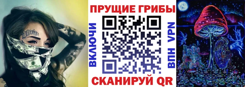 Псилоцибиновые грибы Psilocybine cubensis  Свирск 
